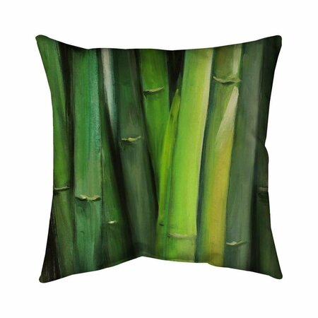 FONDO 20 x 20 in. Bamboo Plant-Double Sided Print Indoor Pillow FO2774186